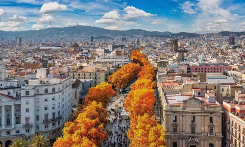 Barcelona Spain, high angle view city skyline at La Rambla street with autumn foliage season